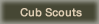 Cub Scouts