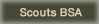 Scouts BSA