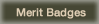 Merit Badges